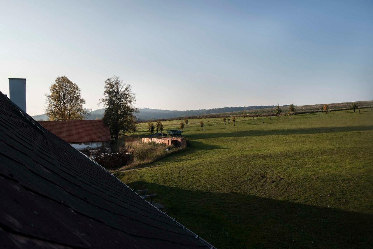 Zamek Liboun Hotel Louňovice pod Blaníkem Eksteriør billede