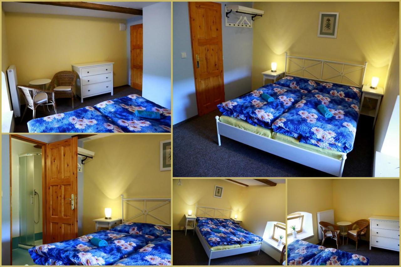 Zamek Liboun Hotel Louňovice pod Blaníkem Eksteriør billede